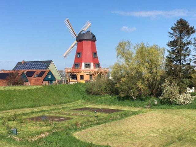Mühle Beidenfelth Neue Hoffnung (7)